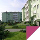 Study abroad with WSB