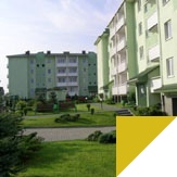 Study abroad with WSB