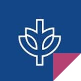 Study abroad with WSB