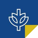 Study abroad with WSB