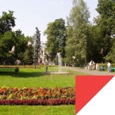 Study abroad with WSB