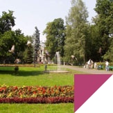 Study abroad with WSB