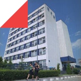 Study abroad with WSB