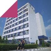 Study abroad with WSB