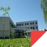 Study abroad with WSB