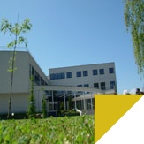 Study abroad with WSB