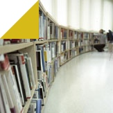 Study abroad with WSB