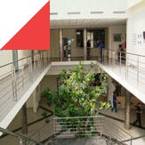 Study abroad with WSB
