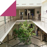 Study abroad with WSB