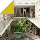 Study abroad with WSB