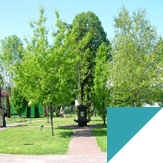 Study abroad with WSB