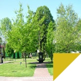 Study abroad with WSB