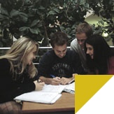 Study abroad with WSB