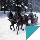 Study abroad with WSB