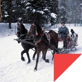 Study abroad with WSB