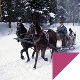 Study abroad with WSB