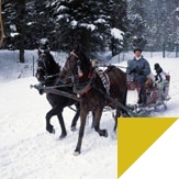 Study abroad with WSB